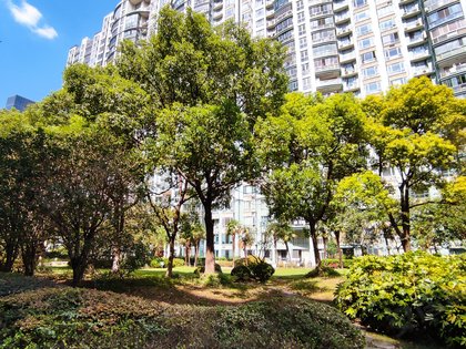 滨江茗园,昌邑路555弄 - 上海滨江茗园二手房,租房,房价-上海安居客