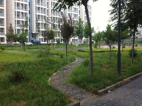 银川兴庆新一中新世纪花园(北区)新世纪花园住房出租,带家具,包费用