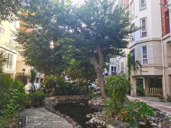 福州闽侯上街闽都大庄园闽都大庄园 独门独户 1000 电梯房出租房源