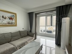 商丘梁园凯旋商城港汇北万达,步行街,正弘汇附近,精装修两室两厅一卫,家电齐全出租房源真实图片
