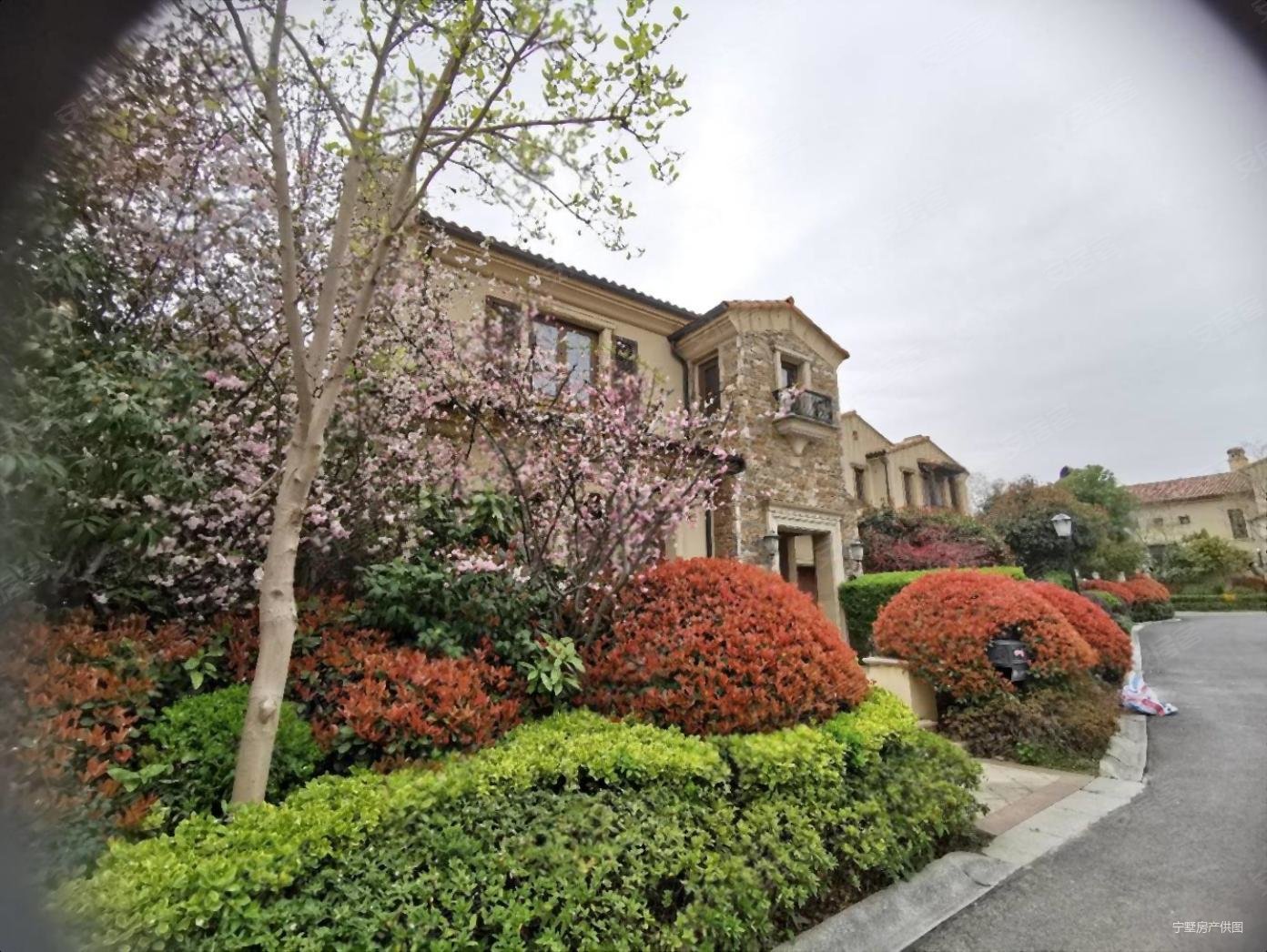 急售 法式独栋别墅,九月森林二手房,1750万,4室3厅,5卫,498平米-南京