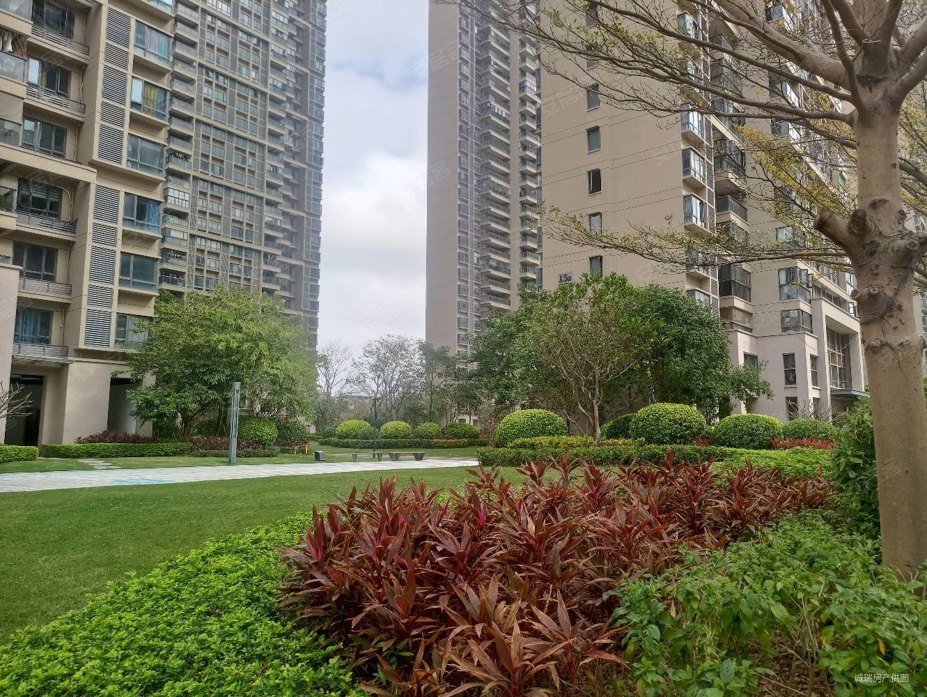 水口大社区新力城一期花园仅售89万