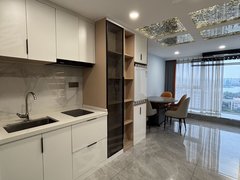 合肥政务奥体中心政务中心 天鹅湖东 蔚蓝商务港旁 
天鹅湖Moma 复式两室出租房源真实图片