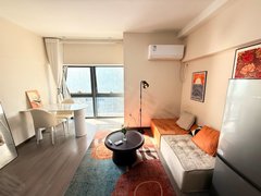 武汉洪山光谷东11号线 19号新月溪地铁站 大悦城 小米科技园 金山 华为出租房源真实图片