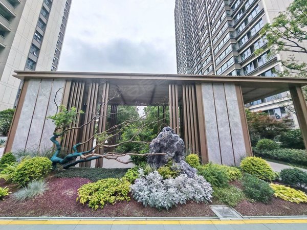 南京秦淮大校场金地大成雅境真实在租 金地大成雅境 13套127平  中医