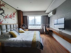 淮南田家庵淮南时代广场圣地新都会 1室1厅1卫 54平 电梯房 精装修 近商贸一中出租房源真实图片