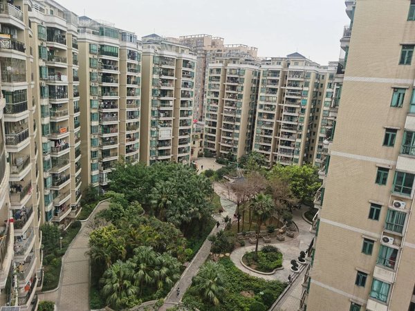 广州增城新塘金泽花园新塘公园旁 金泽花园 精装漂亮大两房 带家电