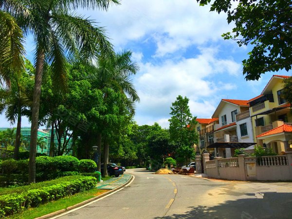 广州花都狮岭南航碧花园(别墅)南航碧花园 独栋别墅 一线湖景 全新