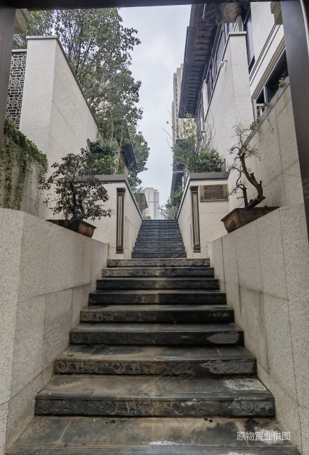 高新 成熟核心 依公园的独栋别墅 500平私家花园,万达长安龙胤二手房