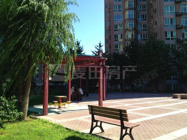 北京海淀世纪城远大园三区南北通透 3室2厅  远大园三区出租房源真实