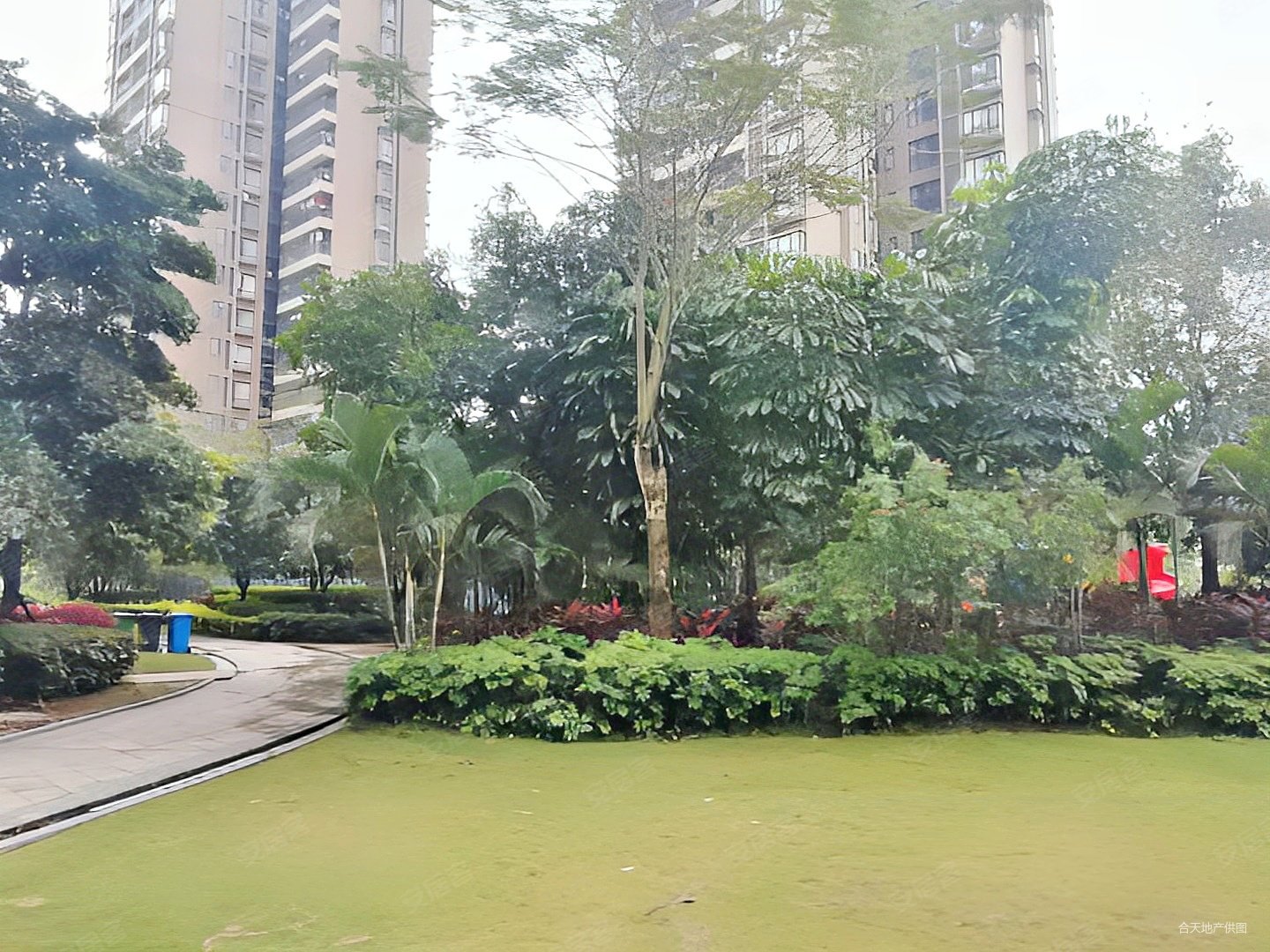 万科物业沿海丽水佳园边位别墅业主诚心出售来电即可看房有钥匙急