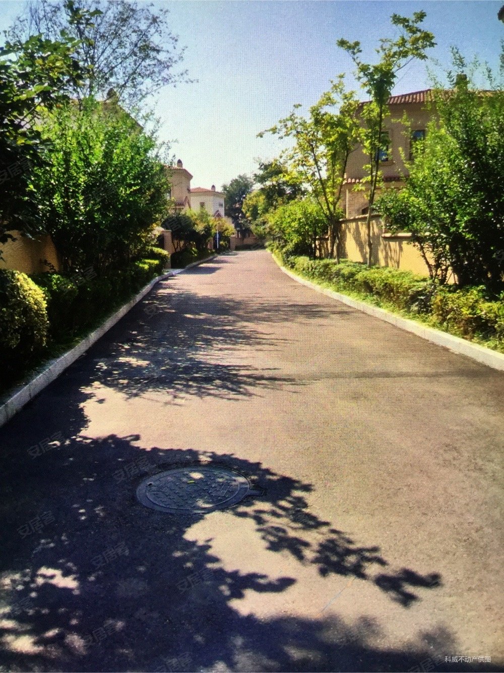 百平大院,少海南湖獨棟別墅,送花園車位露臺