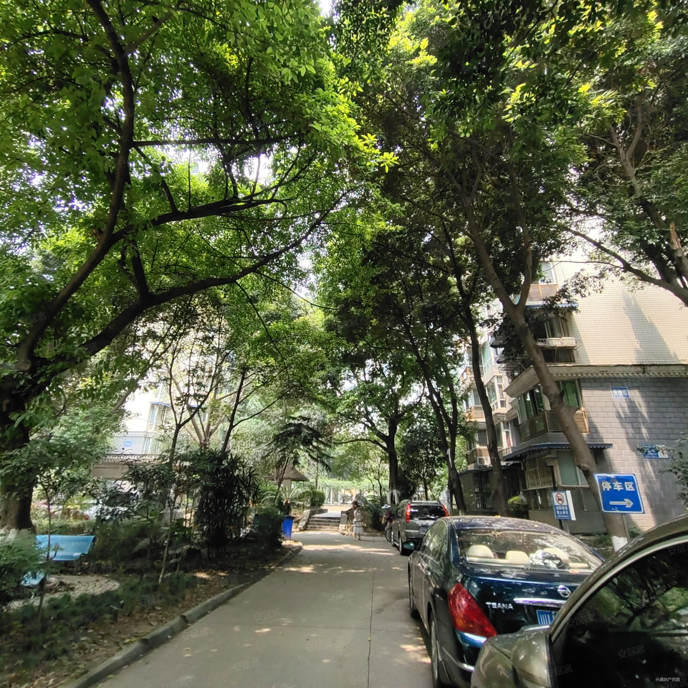 房东急售浣花溪公园对面天籁村电梯7楼套一户型方正不临街