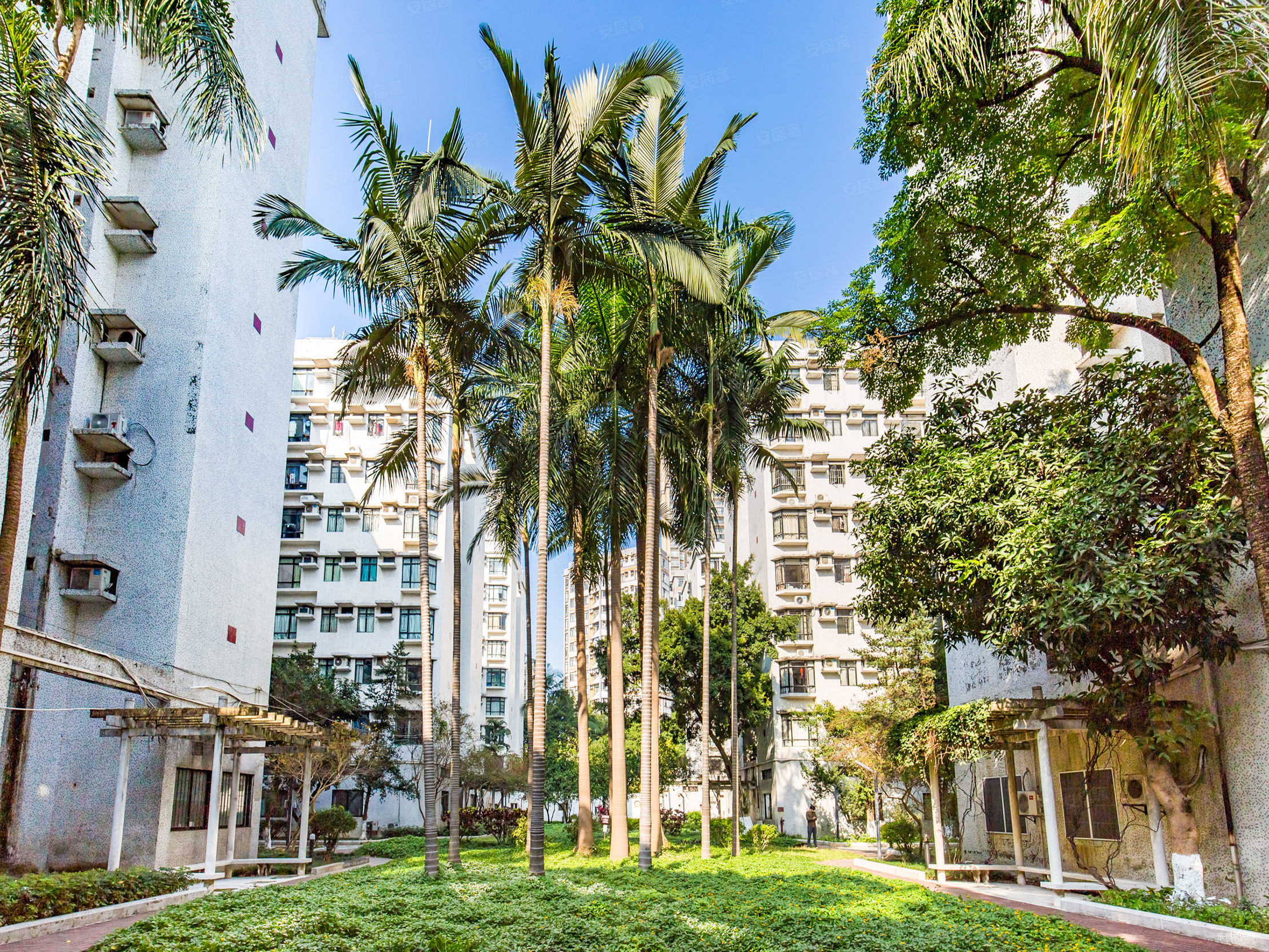 丽江花园新出电梯3房2卫 南向满5 业主急售腾钱 中楼层