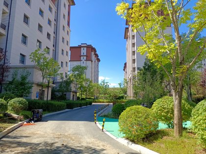 国信南山桃花源