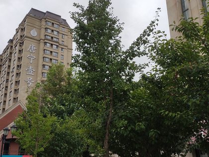 【唐宁壹号房价走势,唐宁壹号房屋出租,唐宁壹号二手房出售】- 丹东58