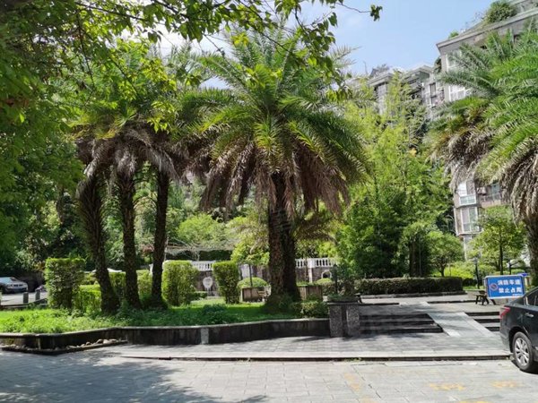 重庆万州万州区观音岩欧典花园观音岩欧典花园精装一室一厅出租,可以