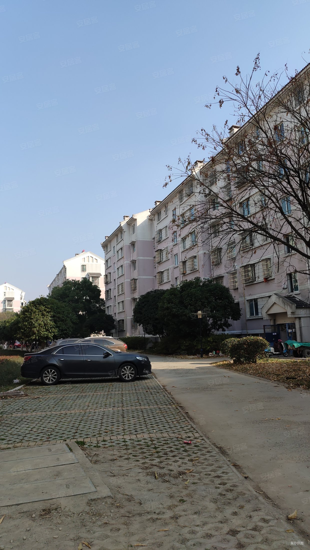 江南新家园渔乐坊3室2厅2卫100㎡南北83万