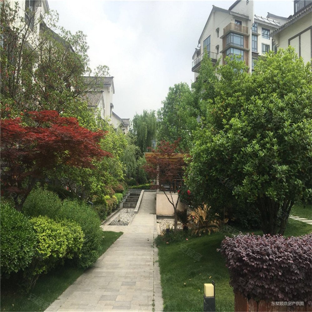 急售,紫园(别墅)二手房,1350万,5室3厅,3卫,330平米-南京安居客