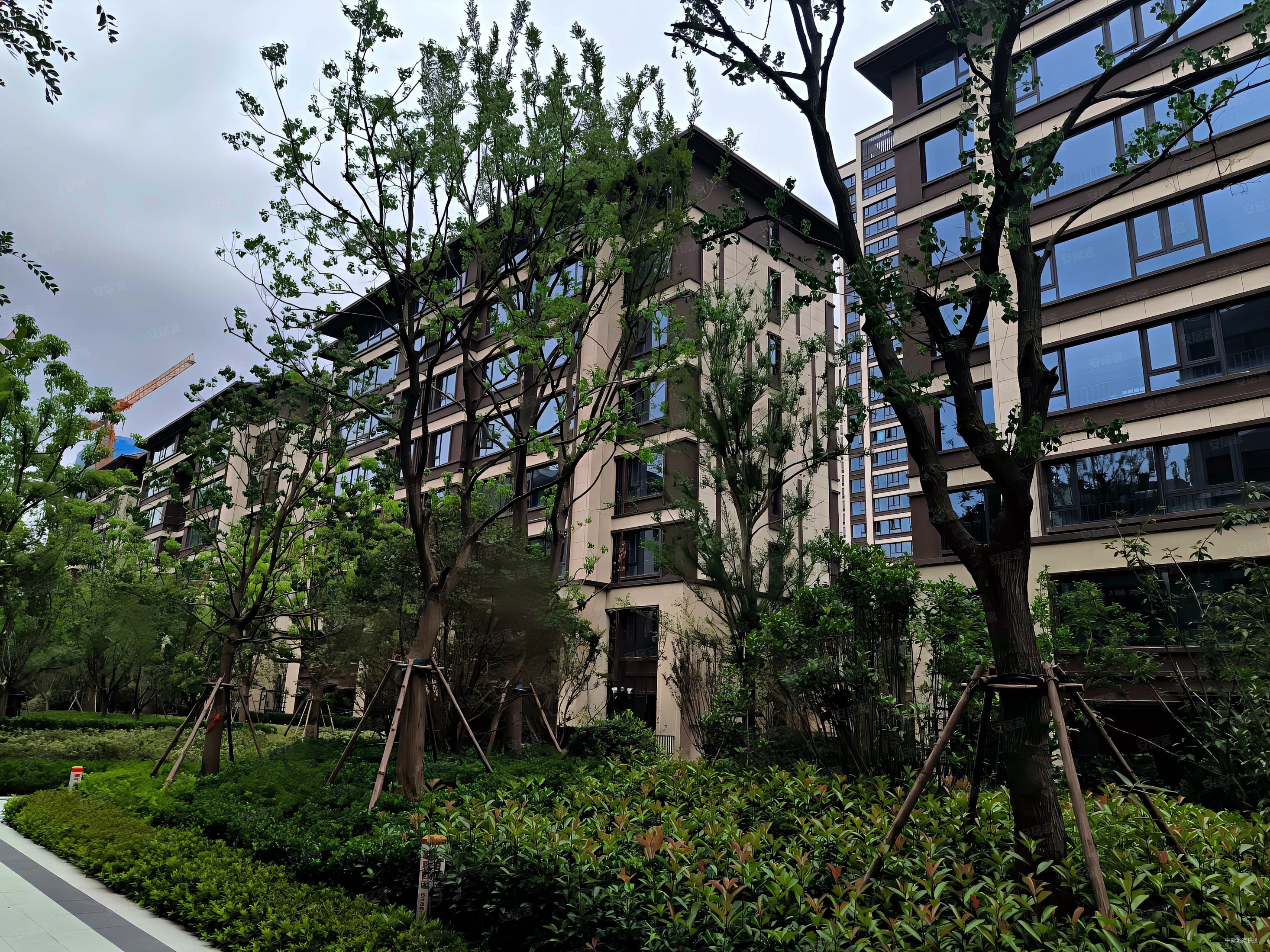 合肥房产网>合肥二手房>滨湖新区二手房>新省府二手房>阳光城檀悦>