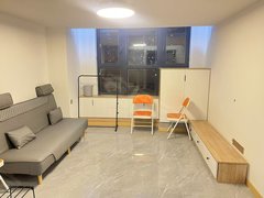 合肥新站陶冲湖新站广场精装loft两室 楼下商业街生活便利 南北通透随时看出租房源真实图片