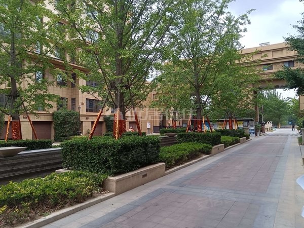 青岛莱西望城梦想望城可短租!可季付!梦想望城!