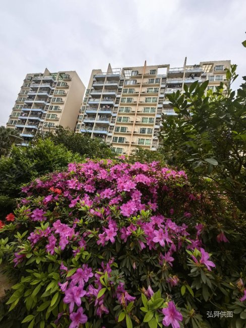 来啦,次新豪装4房2厅2卫急售,看房方便,金田花园二手房,128万,4室2厅