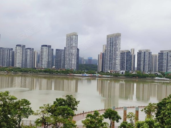 珠海香洲夏湾金河湾美丽全河景 拱北夏湾 权晖花园金河湾 电梯精装