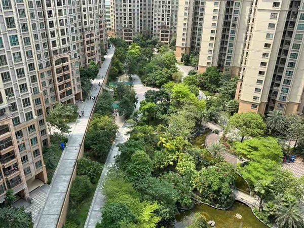 【多图】中森茗苑,新塘租房,中森茗苑 3室2厅2卫 电梯房 精装修86平米