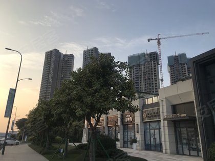 潼湖科学城碧桂园图片