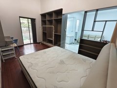 合肥高新蜀西湖科大先研院 高新银泰 祥源城别墅带院子可做饭 软件园科大讯飞出租房源真实图片