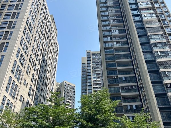 深圳龙岗平湖花果山小区(龙岗)华南城天虹商场旁边 花果山小区两房