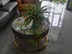 常州溧阳城中南航边 燕山汇精装修家电齐全 拎包入住 出租出租房源真实图片
