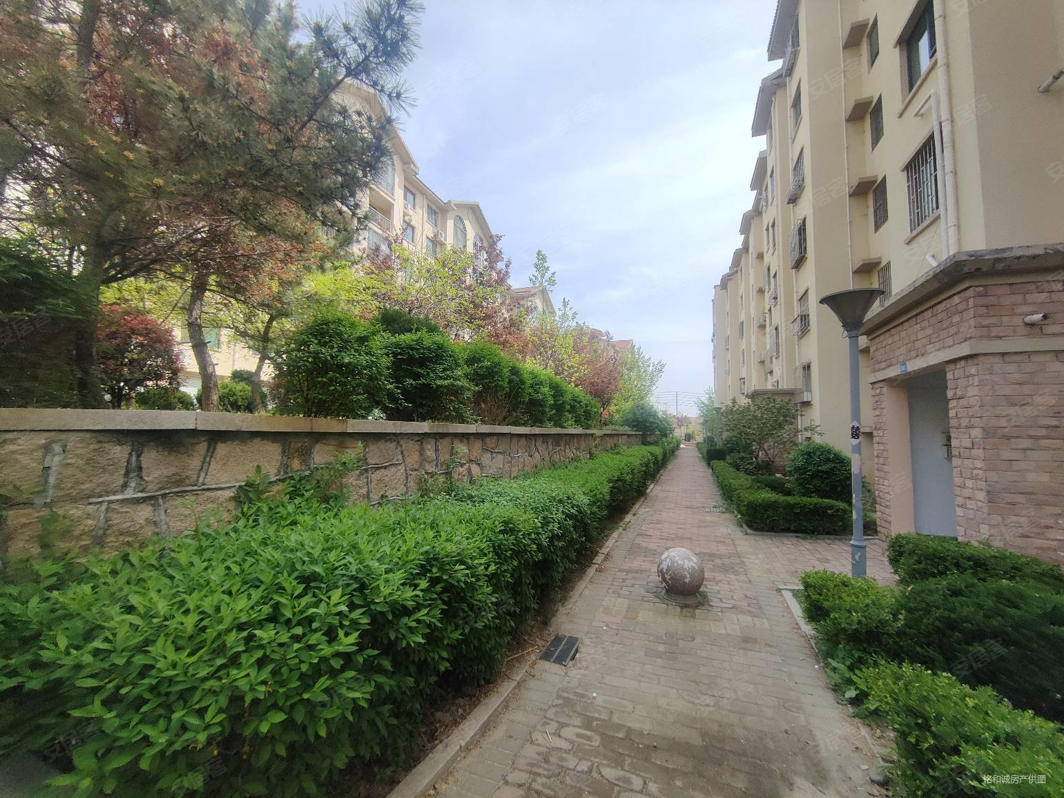 创智新区 龙山花园 看好房子可议价 楼层低 地下室大有窗户