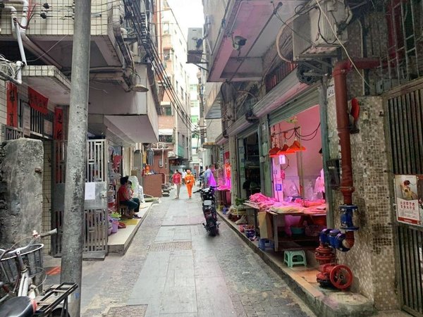 深圳南山南山中心区南头古城安静 私密 环境好 品质与档次的体现出租