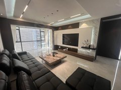 湘潭岳塘市政府市10100平天元新府华城好房不等人!出租房源真实图片