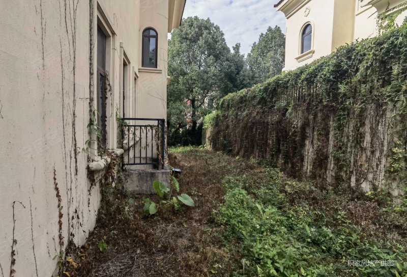 东莞南站旁,绿茵温莎堡独栋别墅,花园300平坐北朝南,诚心卖