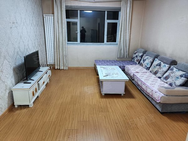 临沂费县费县城区东方嘉苑小区东方嘉苑两室一厅,可长租可短租,拎包