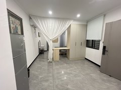 合肥新站火车站押一付一可短租 鸭林冲地铁口 新恒生大厦 火车站 拎包入住出租房源真实图片