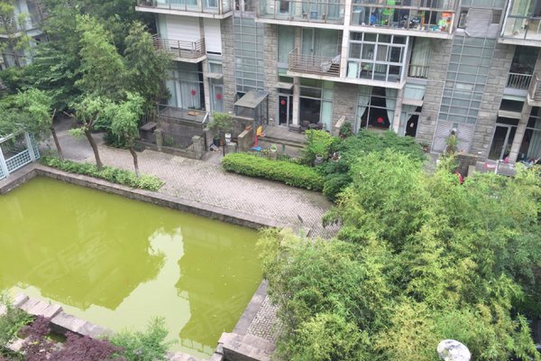 汤臣豪园(一期)