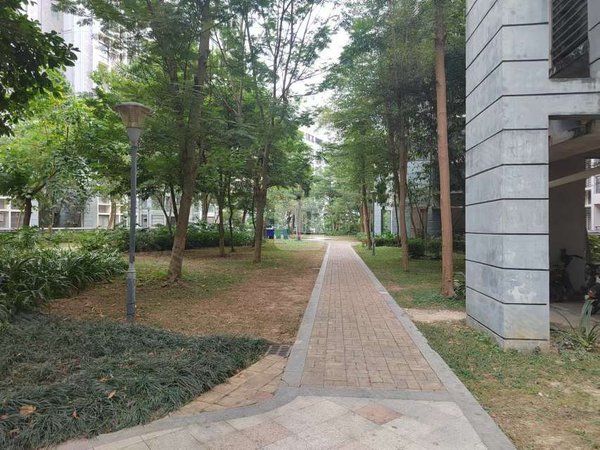 南宁兴宁东沟岭金源橘子郡金源橘子郡 电梯 3房2厅2卫 精装配齐 随时