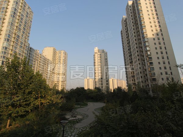 【多图】天鹅湾(北区),朝青板块租房,1室1厅 天鹅湾(北区),朝阳租房