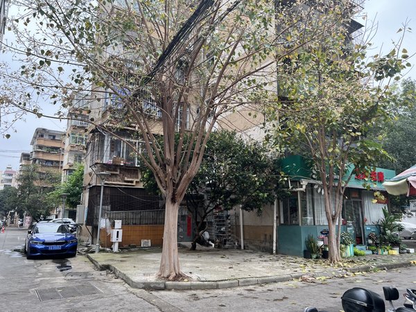 【多图】新竹小区,新竹租房,新竹小区精装三房 出租 居家配齐 拎包