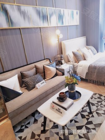 单价一万买新都地铁口精装公寓ncc红街 *不限贷