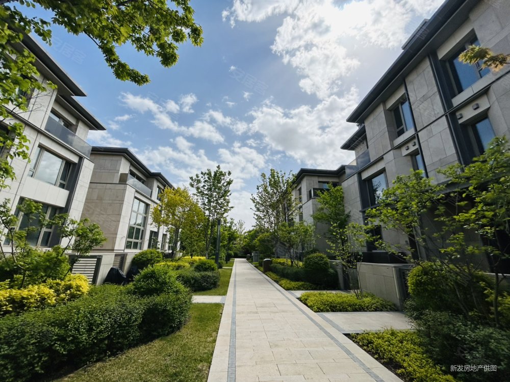 长春房产网>长春二手房>净月二手房>亚泰足球训练基地二手房>伟峰东域