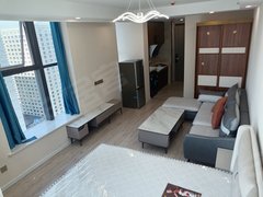 新千丽景公寓 1室1厅1卫 南北通透 豪华装修 电梯房 ！！