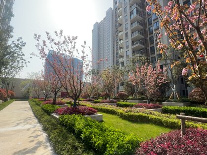 置地双清湾天御,邢庄路 - 阜阳置地双清湾天御二手房,租房,房价-阜阳