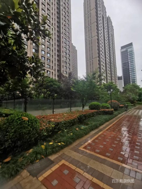 天地源丹轩梓园 洋房 南北通透 毛坯房诚心出售