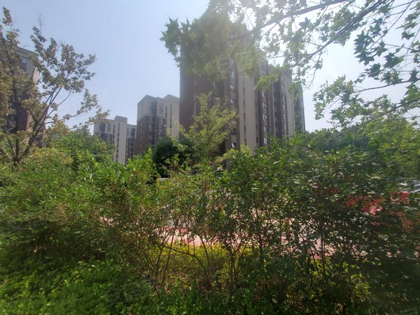 青岛城阳流亭空港新苑高家台社区(南区)无中介 温馨小卧室 首月三百住 包水网物业费 押一付一出租房源真实图片