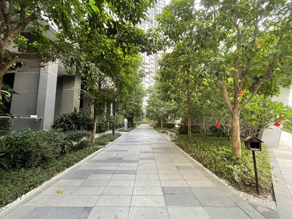 【多图】凯德双桥8号,桥中租房,急租 双桥8号 坦尾地铁400米 南向高层